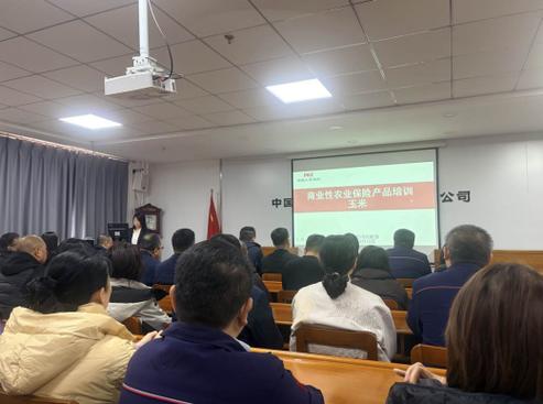 人保财险山东淄博博山支公司:开展商业性玉米保险产品培训